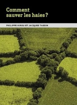 image :  /upload/construction.jpg